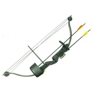 PERFECT LINE YOUTH COMPOUND BOW SET